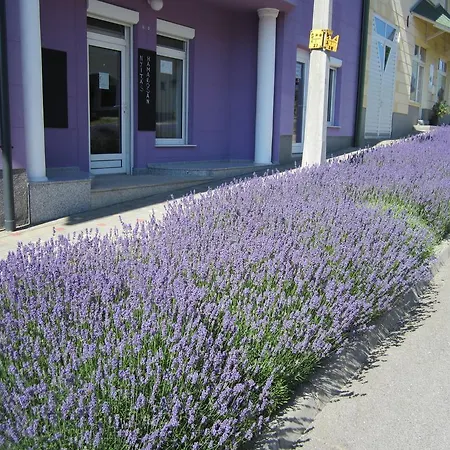 Отель типа 